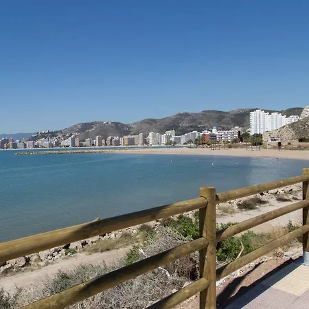 Olivos Cullera