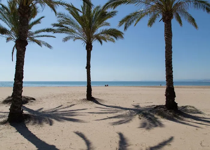 Olivos Apartamento Cullera